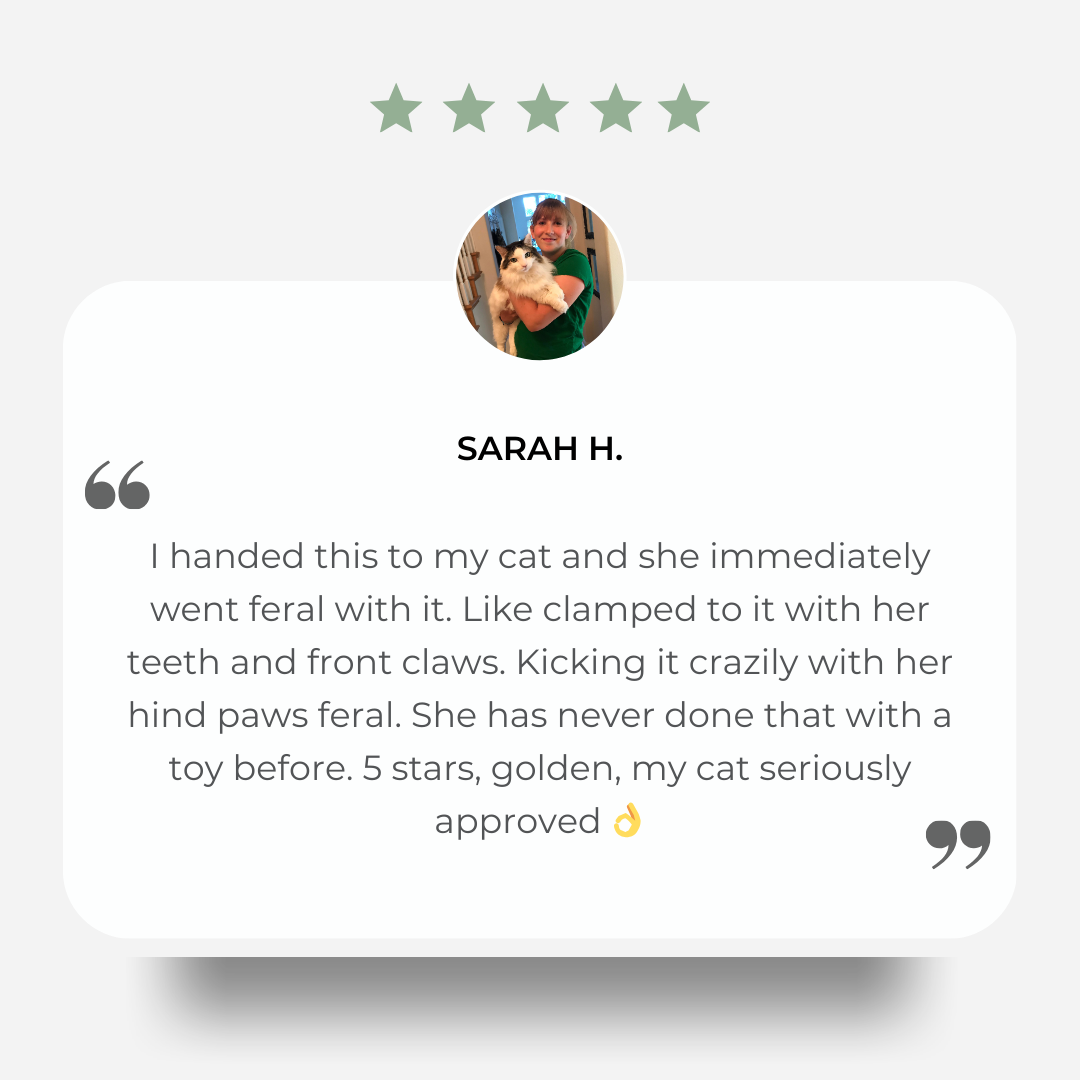 Catnip Chewing Pillow