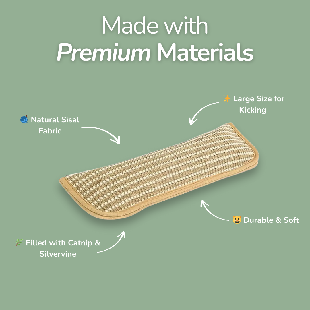 Catnip Chewing Pillow