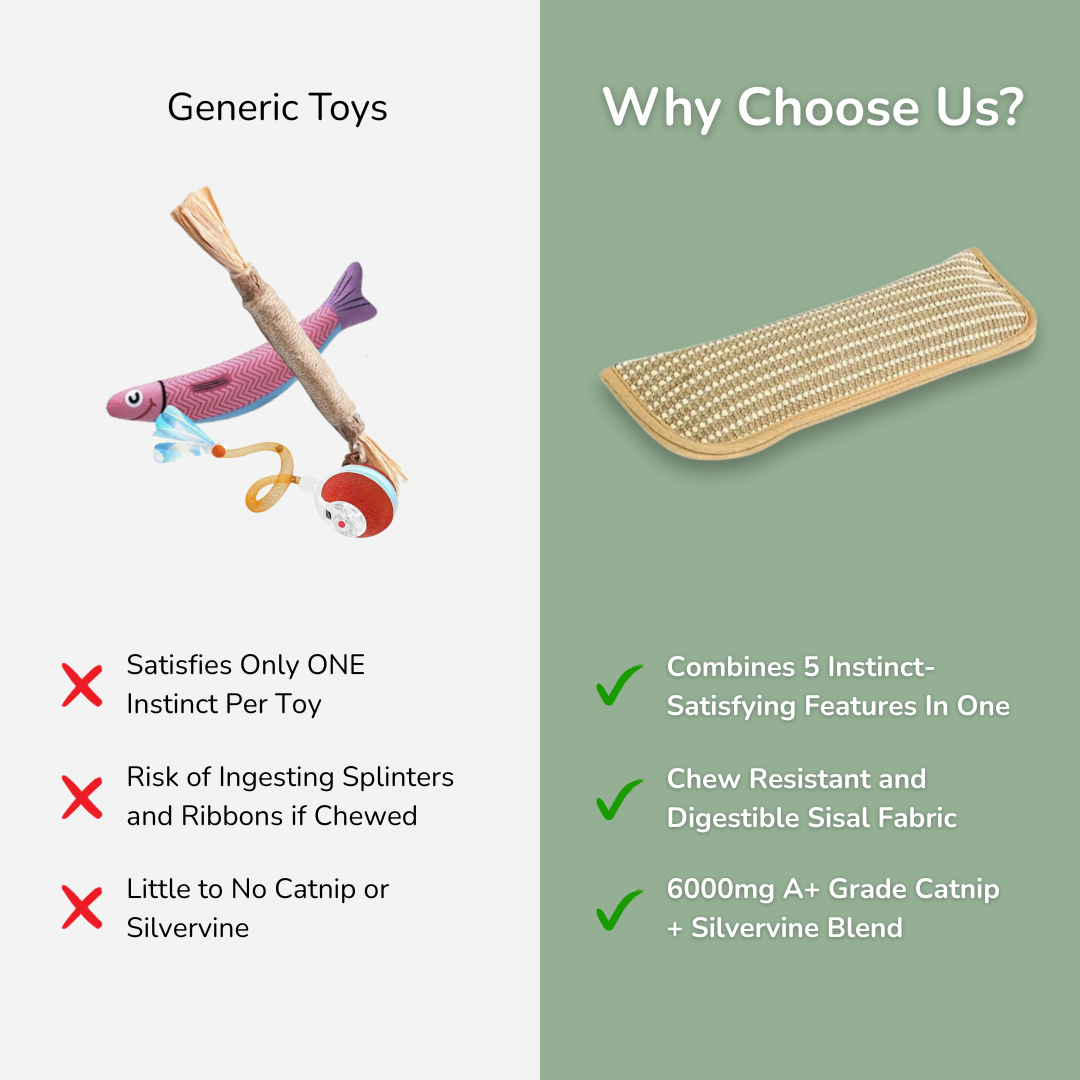 Catnip Chewing Pillow