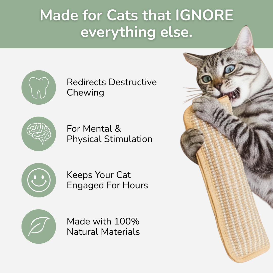 Catnip Chewing Pillow