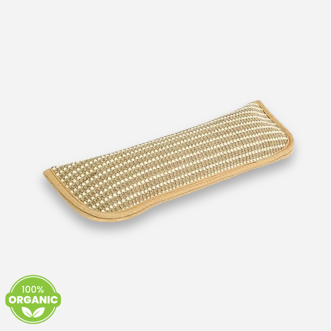 Catnip Chewing Pillow